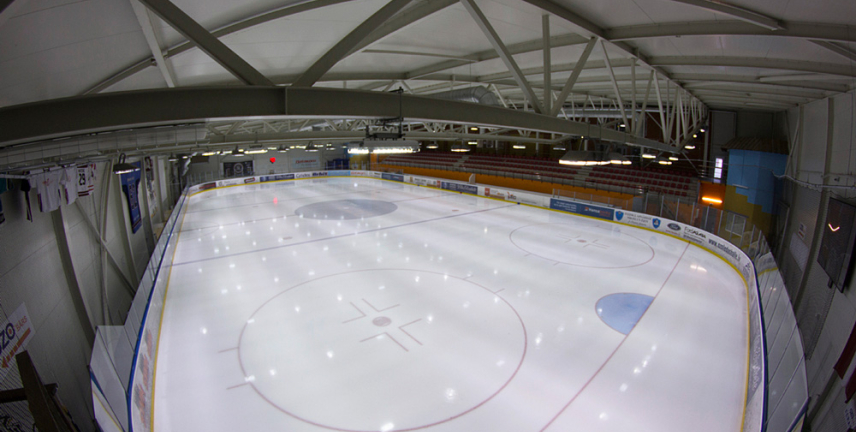 Ozo ledus halle