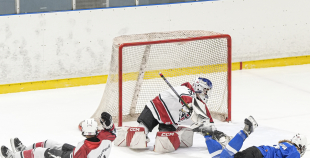 LBJČH (U14), Rīgas HS meitenes - HS Falcons