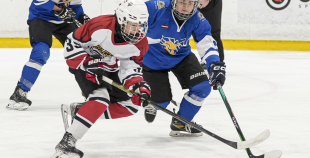 LBJČH (U14), Rīgas HS meitenes - HS Falcons