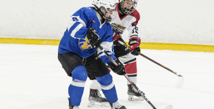 LBJČH (U14), Rīgas HS meitenes - HS Falcons