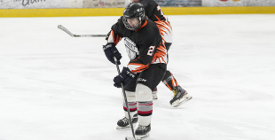 LČV, K33 - VHK Zemgale