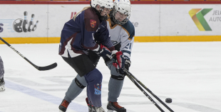 SHAL (sabraukums Jelgavā), SHK Zemgale, Talsu HK, HC Klaipeda Girls, SHK Ventspils, HK Tukums