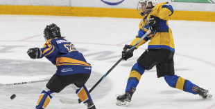 SHAL (sabraukums Jelgavā), SHK Zemgale, Talsu HK, HC Klaipeda Girls, SHK Ventspils, HK Tukums