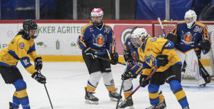 SHAL (sabraukums Jelgavā), SHK Zemgale, Talsu HK, HC Klaipeda Girls, SHK Ventspils, HK Tukums
