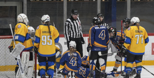 SHAL (sabraukums Jelgavā), SHK Zemgale, Talsu HK, HC Klaipeda Girls, SHK Ventspils, HK Tukums