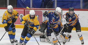 SHAL (sabraukums Jelgavā), SHK Zemgale, Talsu HK, HC Klaipeda Girls, SHK Ventspils, HK Tukums