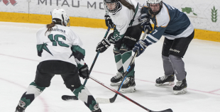 SHAL (sabraukums Jelgavā), SHK Zemgale, Talsu HK, HC Klaipeda Girls, SHK Ventspils, HK Tukums