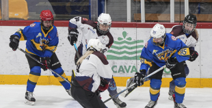 SHAL (sabraukums Jelgavā), SHK Zemgale, Talsu HK, HC Klaipeda Girls, SHK Ventspils, HK Tukums