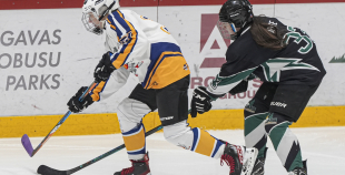 SHAL (sabraukums Jelgavā), SHK Zemgale, Talsu HK, HC Klaipeda Girls, SHK Ventspils, HK Tukums