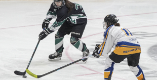 SHAL (sabraukums Jelgavā), SHK Zemgale, Talsu HK, HC Klaipeda Girls, SHK Ventspils, HK Tukums