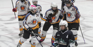 SHAL (sabraukums Jelgavā), SHK Zemgale, Talsu HK, HC Klaipeda Girls, SHK Ventspils, HK Tukums