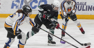 SHAL (sabraukums Jelgavā), SHK Zemgale, Talsu HK, HC Klaipeda Girls, SHK Ventspils, HK Tukums