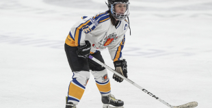 SHAL (sabraukums Jelgavā), SHK Zemgale, Talsu HK, HC Klaipeda Girls, SHK Ventspils, HK Tukums