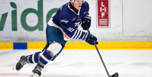 MOGO/RSU - HC PANTER (23.09)
