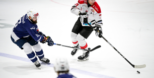 MOGO/RSU - HC PANTER (23.09)