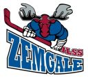 JLSS U-14 logo
