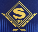 Sāga/Vecmeistars logo