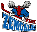 Zemgaļi logo