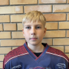 Adrians VANAGS