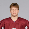 Artjoms KADŅIKOVS