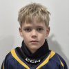 Dairis Dargis