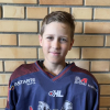 Dāvis DINSBERGS