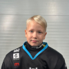 Emīls MEDNIS