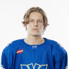 Kārlis KRŪMIŅŠ