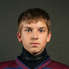 Kārlis PĻAVIŅŠ