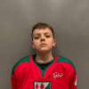 Lukass Teplovs