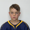 Roberts VEISS