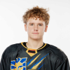 Roberts ZĪLE