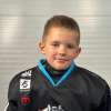Velards DĀRZIŅŠ