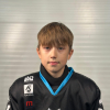 Vladislavs GORNOVS