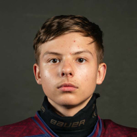 Adrians Kozlovs
