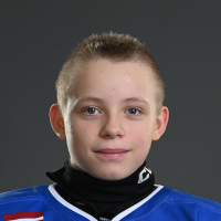 Aleksandrs Skibardins