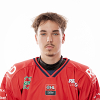 Andis Rupeiks