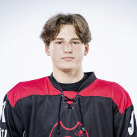 Andrejs Bogdanovs