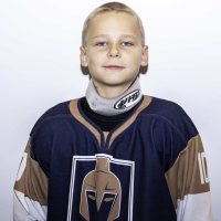Ārons Lodziņš