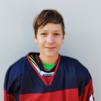 Arsēnijs Proņins