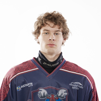 Artis Duklavs