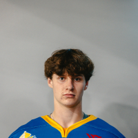 Artūrs Dmitrijevs