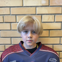 Artūrs Meimanis