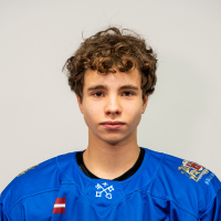 Damirs Besarabovs
