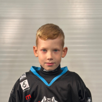 Dominiks Šaubergs