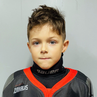 Emīls Vikmanis