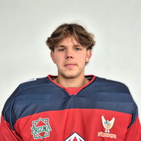 Fricis Pauls Vīle