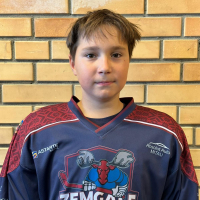 Gustavs Krišs Pogulis