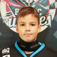 Jefims Maksimovs