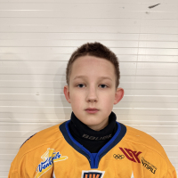 Kārlis Liepājnieks